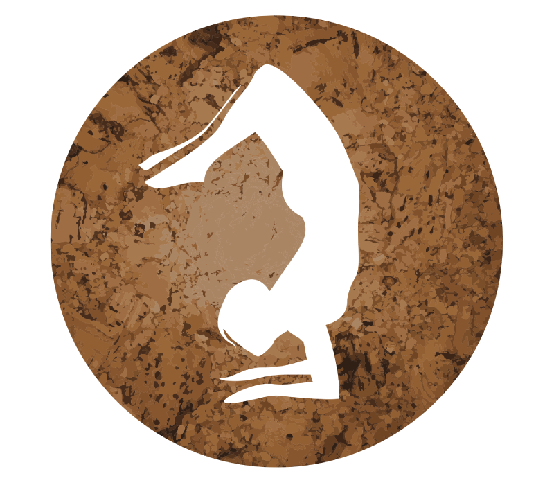 yogi-perogi